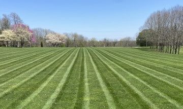 residential mowing services