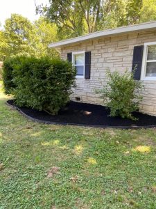 logan's lawn and landscape 20