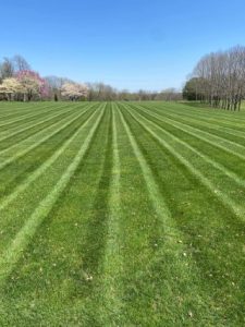 logan's lawn and landscape 33